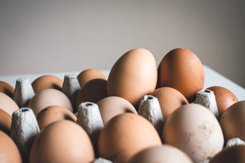 ביצים - מזון עשיר בחלבון