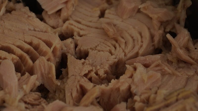 Protein-in-tuna-fish-2